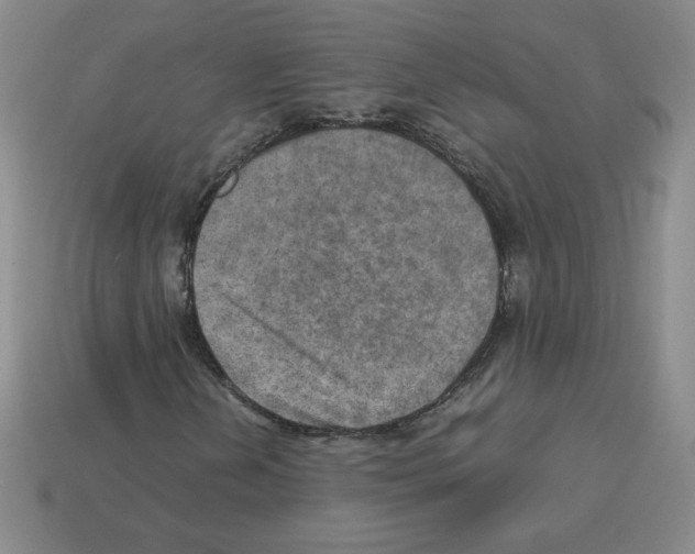 X0000112771202200910011229