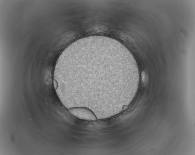 X0000112771203200910011229