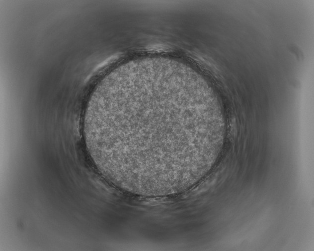 X0000112771205200910011229