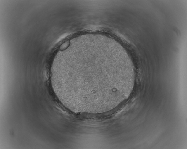 X0000112771206200910011229