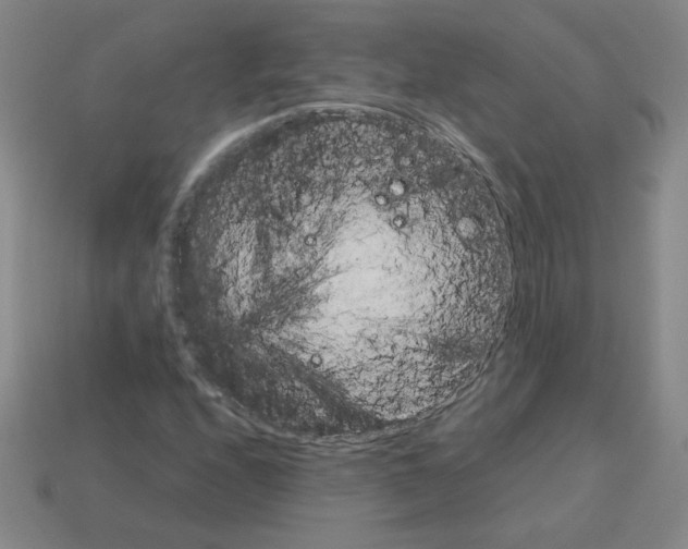 X0000112771208200910011229