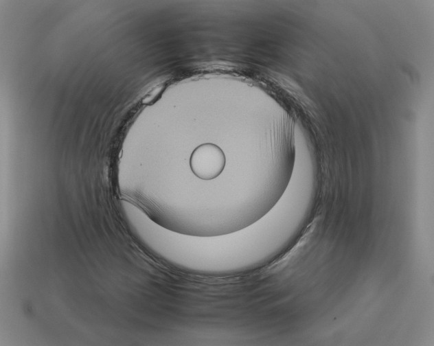 X0000112771209200910011229