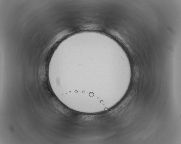 X0000112771211200910011229