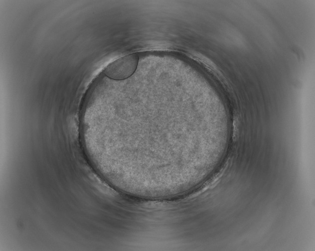 X0000112771212200910011229