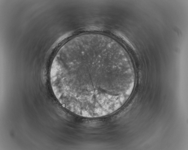 X0000112771213200910011229