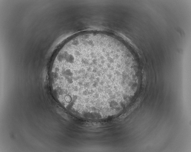 X0000112771215200910011229