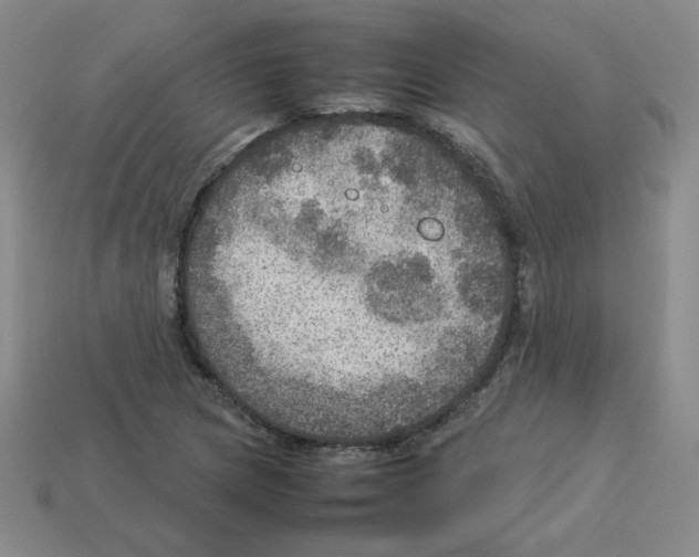 X0000112771217200910011229