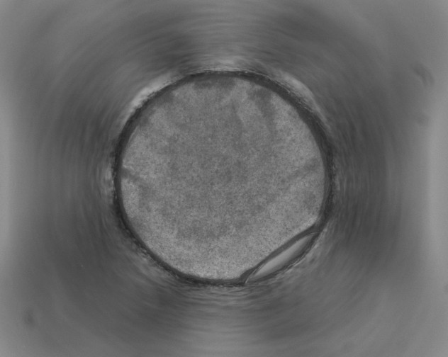 X0000112771218200910011229