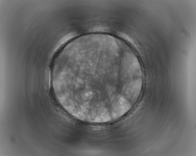 X0000112771219200910011229