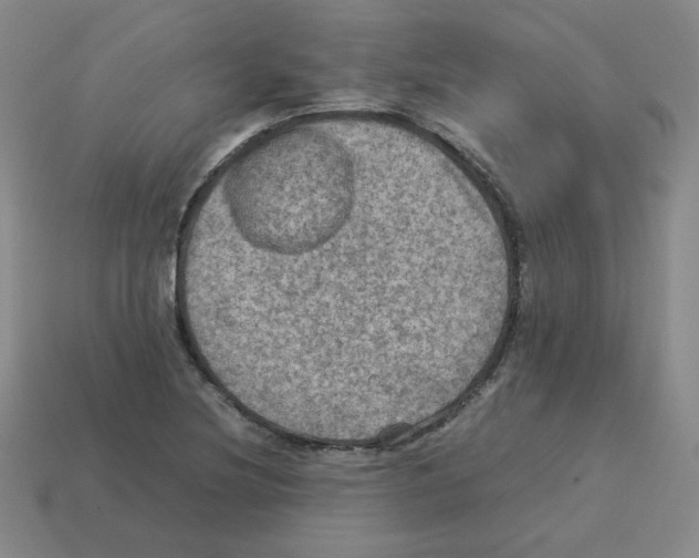 X0000112771220200910011229