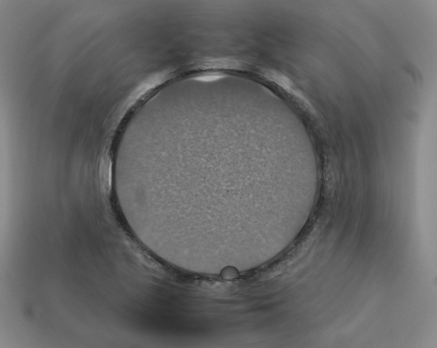 X0000112771221200910011229