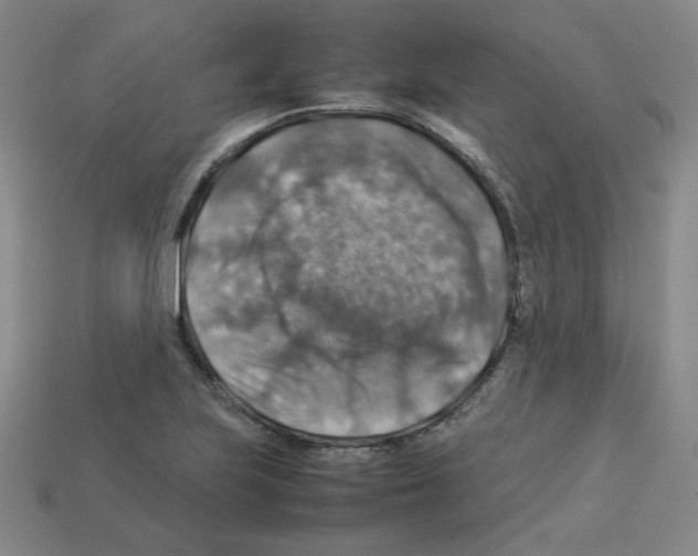 X0000112771223200910011229