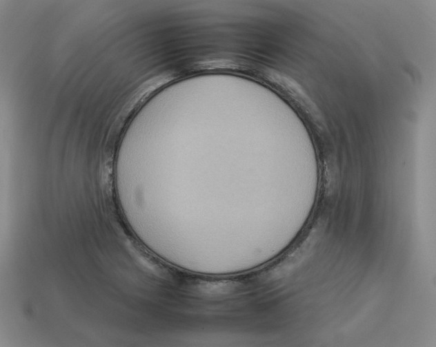 X0000112771225200910011229