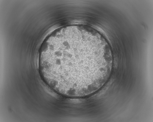 X0000112771227200910011229