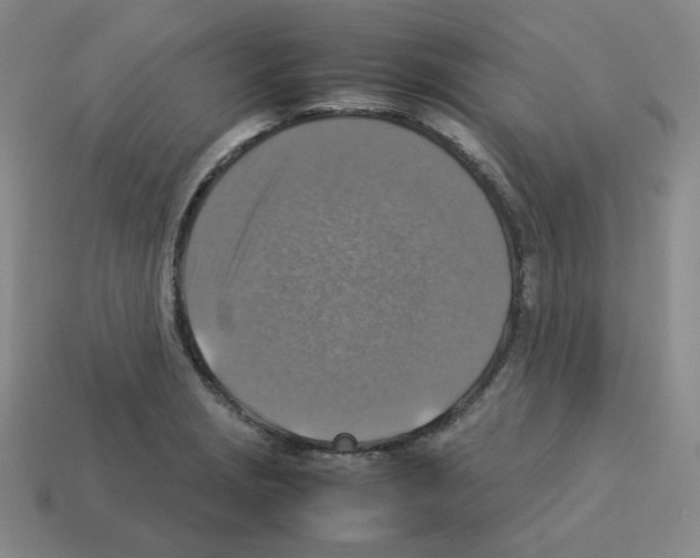 X0000112771229200910011229