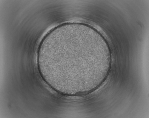 X0000112771232200910011230