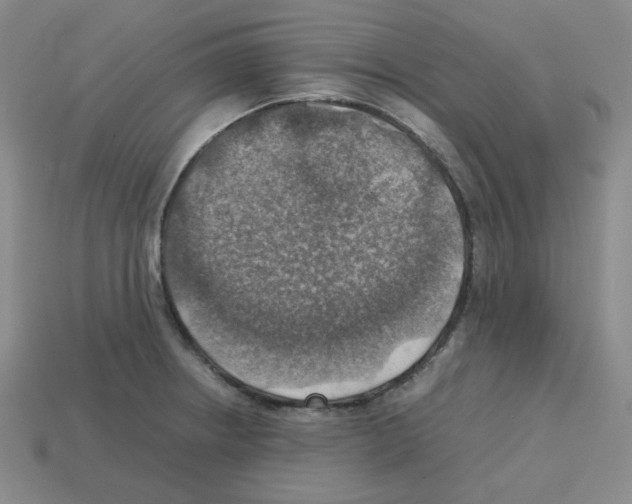 X0000112771234200910011230