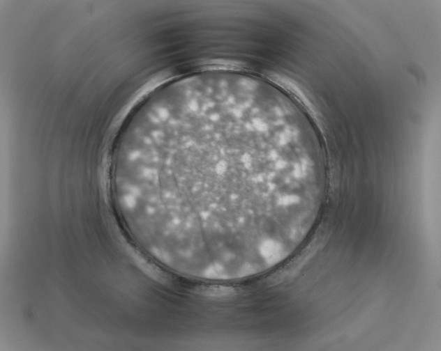 X0000112771235200910011230