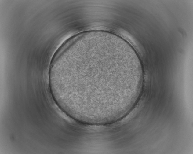 X0000112771236200910011230