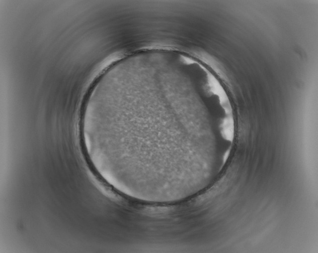 X0000112771237200910011230