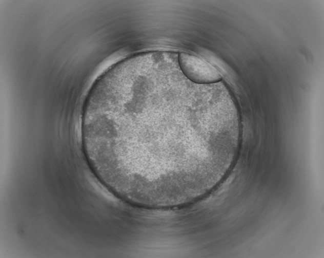 X0000112771238200910011230