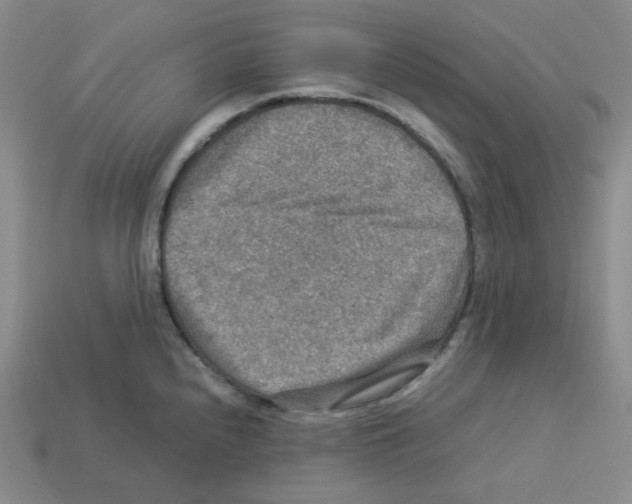 X0000112771240200910011230