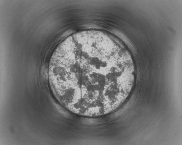 X0000112771241200910011230