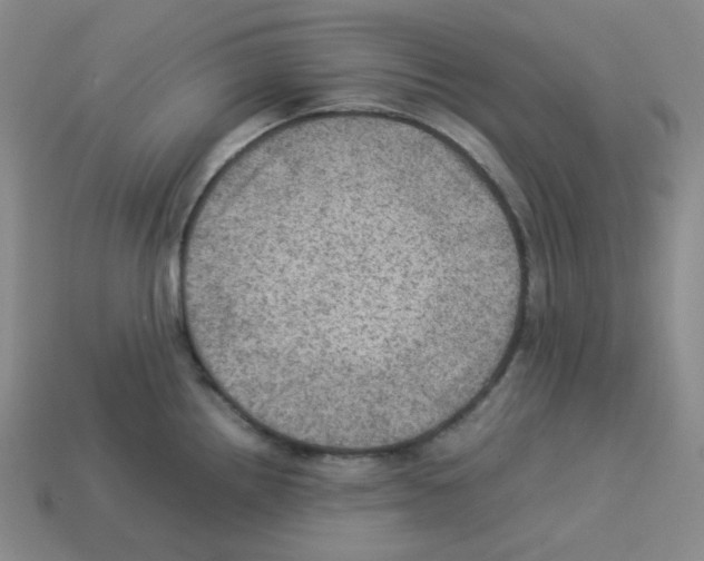 X0000112771242200910011230