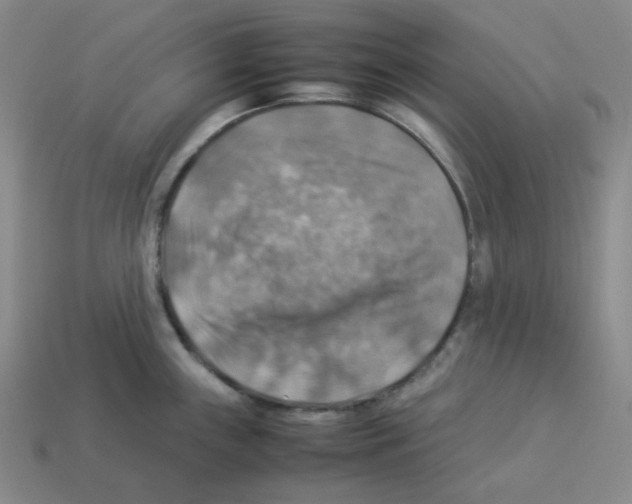 X0000112771243200910011230