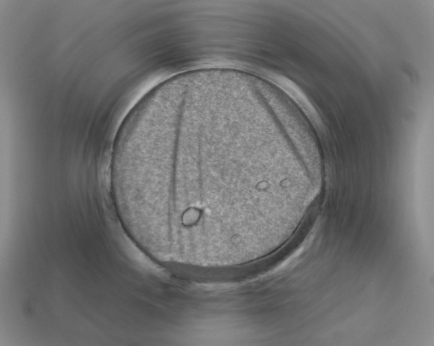 X0000112771244200910011230