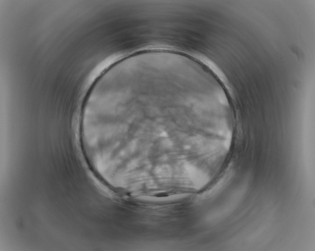 X0000112771245200910011230