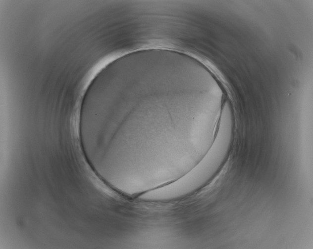 X0000112771246200910011230