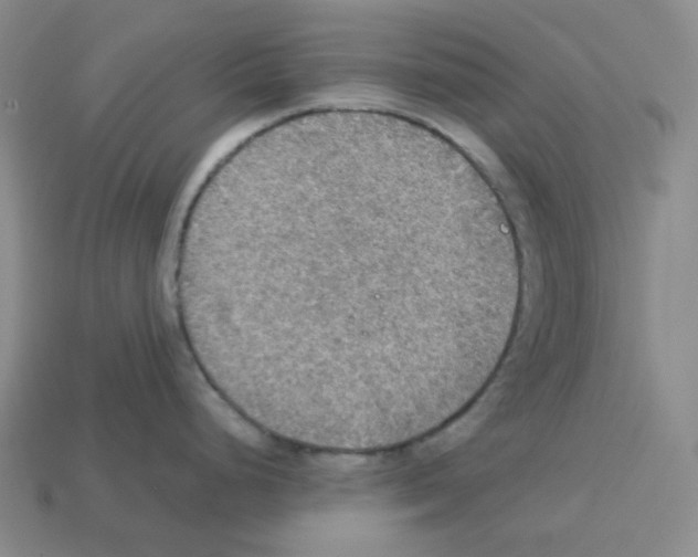 X0000112771248200910011230