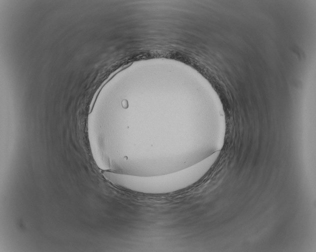 X0000112771249200910011229