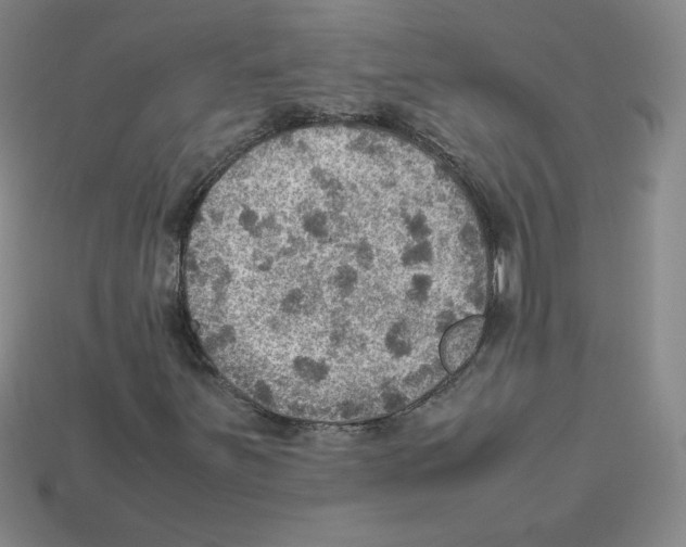 X0000112771251200910011229