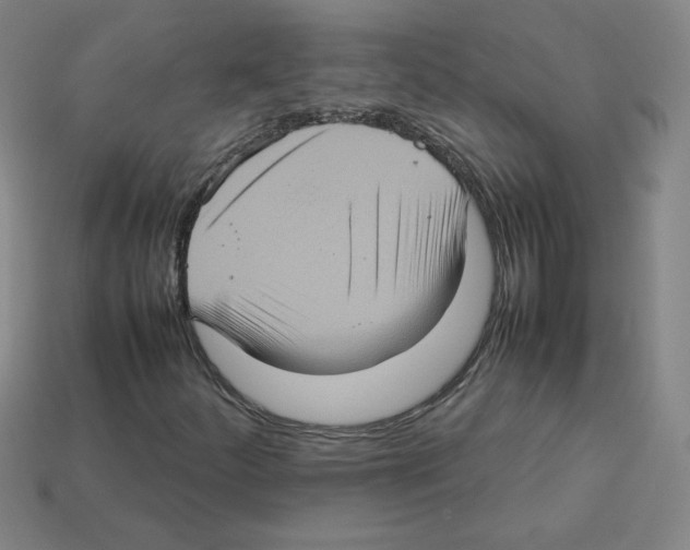 X0000112771252200910011229