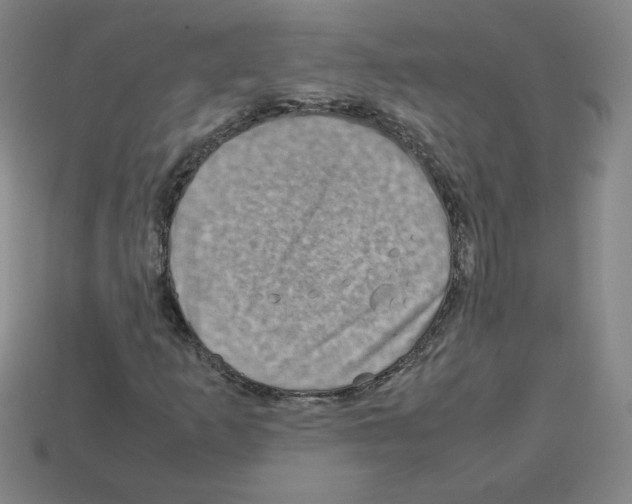 X0000112771253200910011229