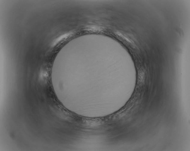 X0000112771254200910011229