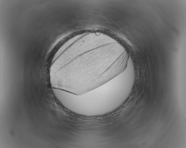 X0000112771256200910011229