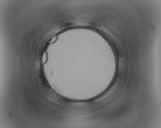 X0000112771257200910011229