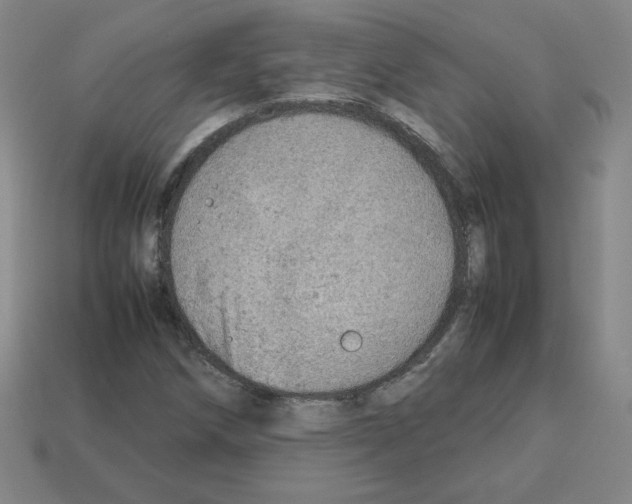 X0000112771258200910011229