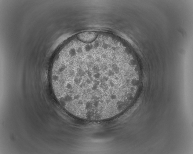 X0000112771259200910011229