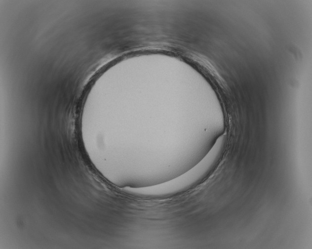 X0000112771260200910011229