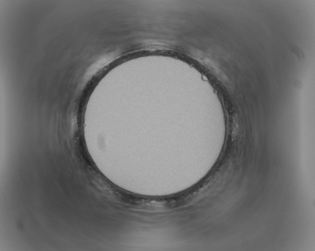 X0000112771261200910011229