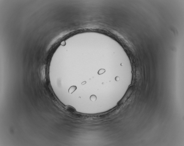 X0000112771262200910011229