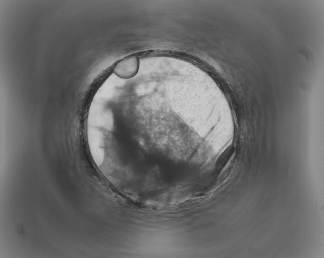 X0000112771263200910011229