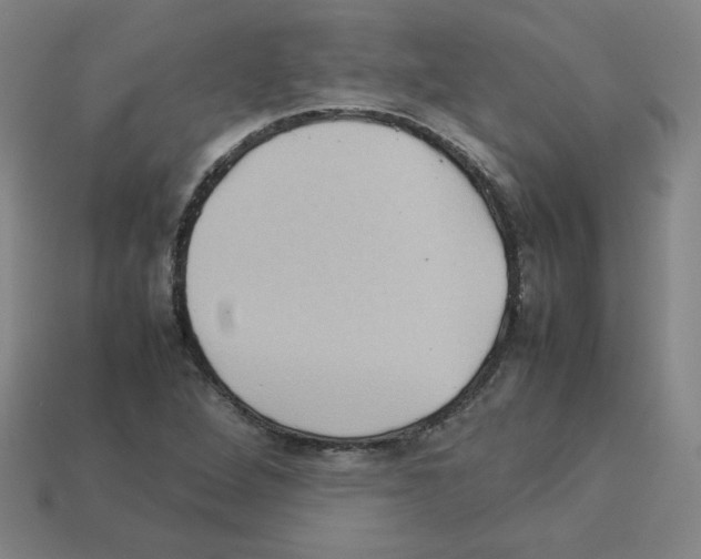 X0000112771264200910011229