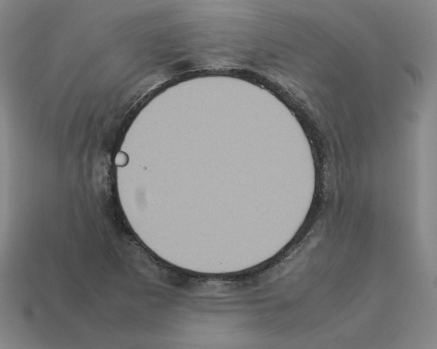 X0000112771265200910011229