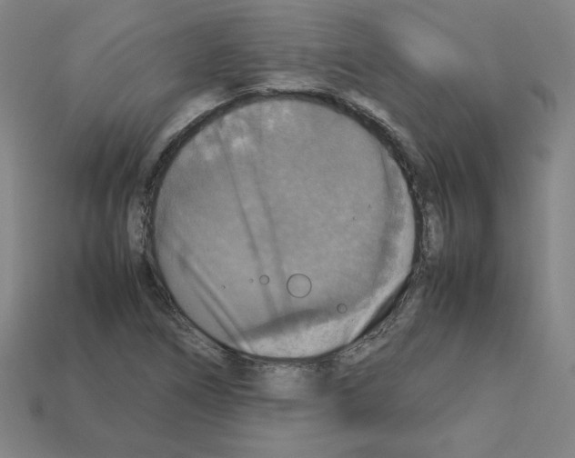 X0000112771266200910011229