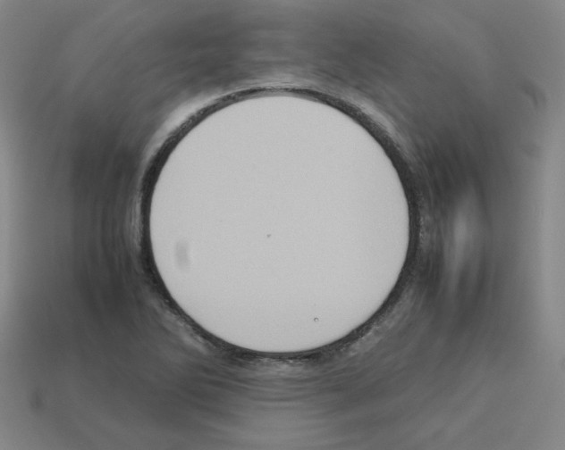 X0000112771270200910011229